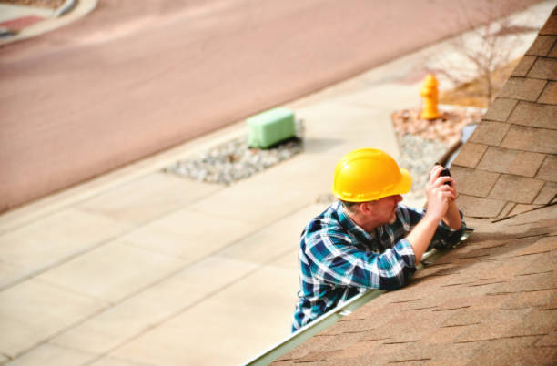 Best Asphalt Shingle Roofing  in Colon, MI