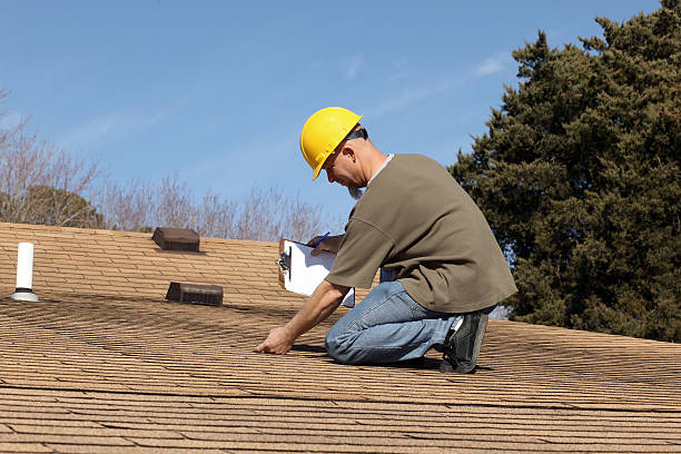 Best Roof Moss and Algae Removal  in Colon, MI